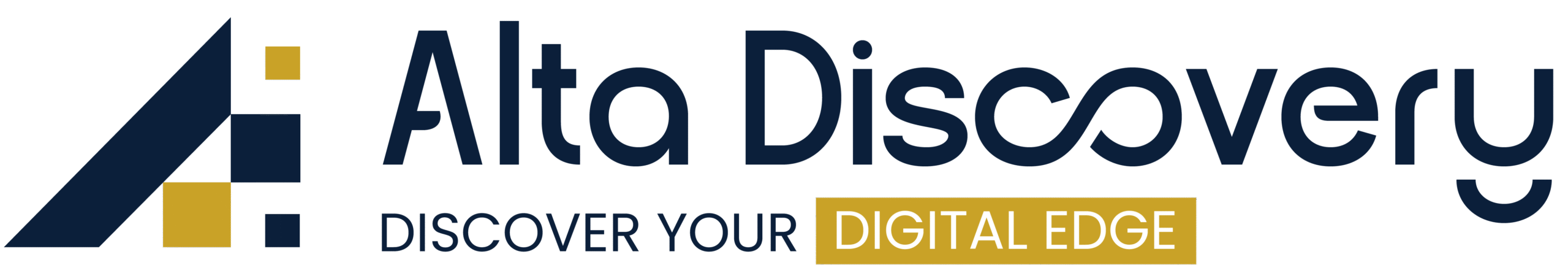 Alta Discovery -Digital Edge